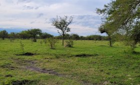 1 ha en Pueblo Cazes, Dto. Colón